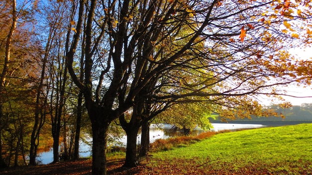 Una bellissima vista di un parco con un lago in autunno