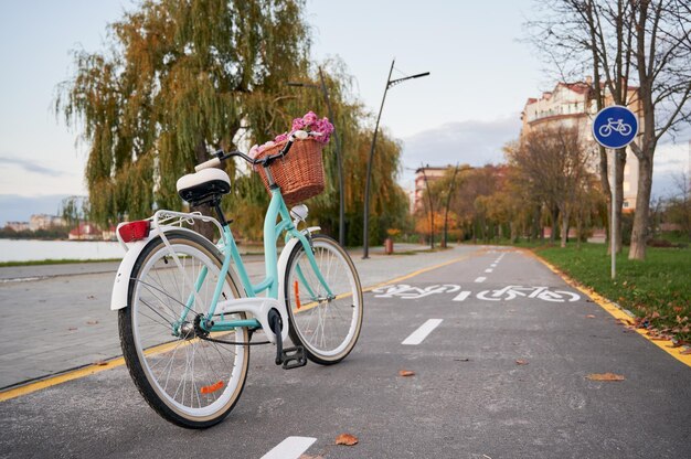 Una bici retrò da donna blu sulla pista ciclabile