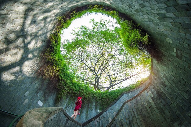 Una donna a Fort Canning Park