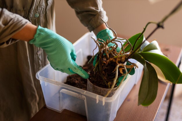 Una donna che decora la sua casa con orchidee