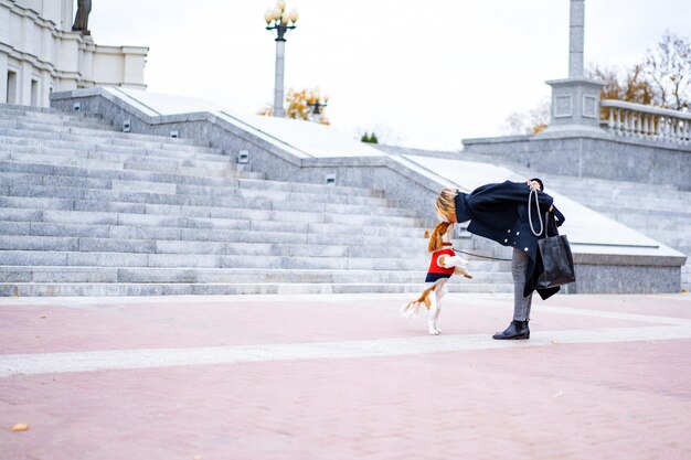 Una femmina cammina nel parco con un Cavalier King Charles Spaniel. Una donna che cammina nel parco autunnale con un cane. Cavalier King Charles Spaniel