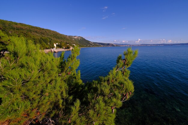 Una giornata estiva in riva al mare, con un seagul