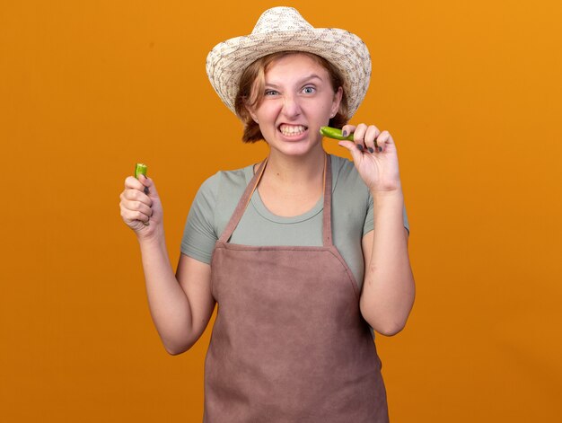 Una giovane giardiniera slava infastidita che indossa un cappello da giardinaggio tiene parti di peperoncino rotto