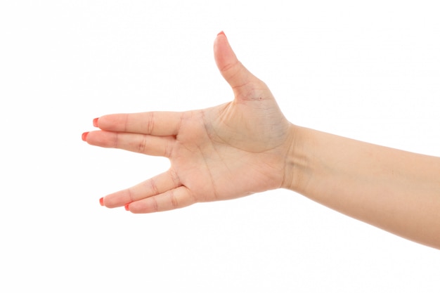 Una mano femminile di vista frontale con le unghie colorate ha sollevato l'espressione della mano sul bianco