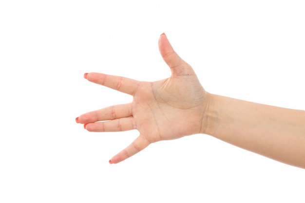 Una mano femminile di vista frontale con le unghie colorate ha sollevato la mano sul bianco