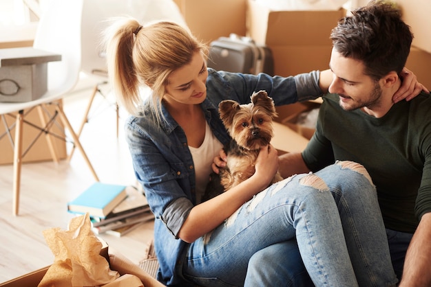 Una pausa dal trasloco con un animale domestico