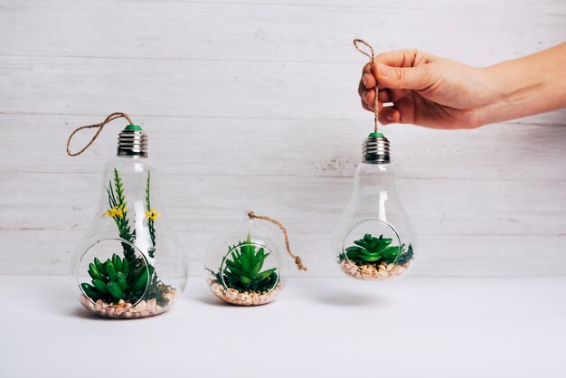 Una pianta del cactus della tenuta della persona dentro la lampadina sullo scrittorio bianco contro la parete di legno