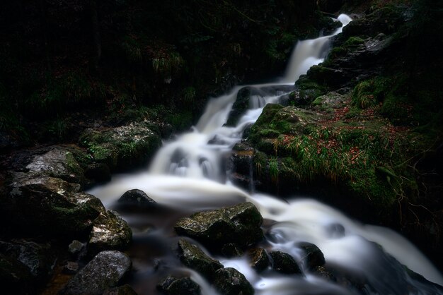 una potente cascata in una foresta vicino a formazioni rocciose muschiose