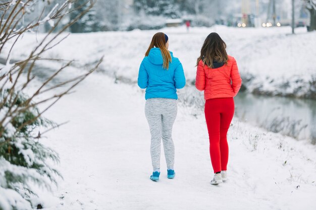 Una retrovisione di due donne che camminano insieme sul paesaggio congelato in inverno