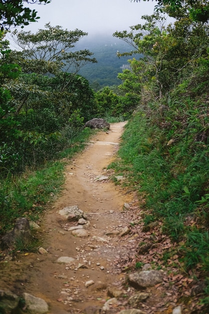 Una strada che porta alle verdi montagne