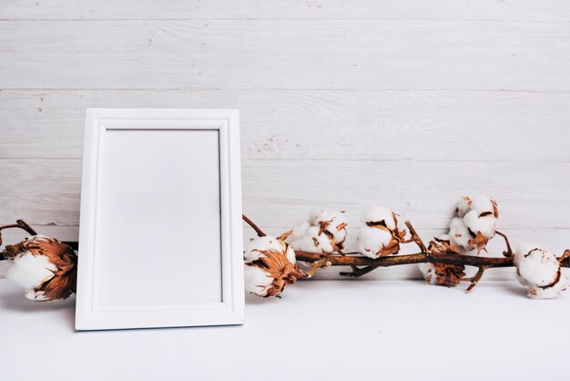 Una struttura bianca vuota davanti al gambo del fiore del cotone sullo scrittorio contro fondo di legno