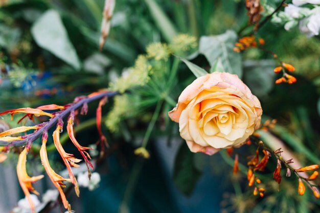 Una vista aerea del fiore di rosa nel bouquet