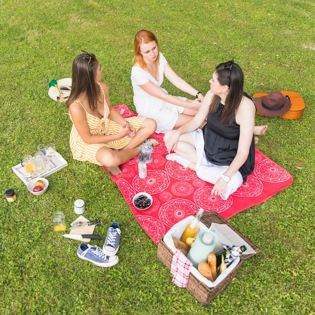 Una vista aerea delle amiche che si siedono sulla coperta che gode nel picnic