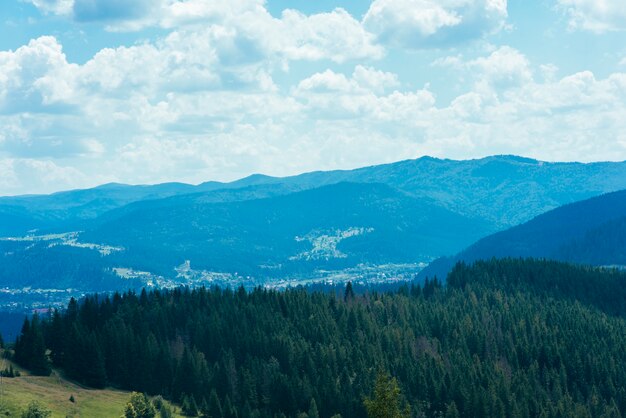 Una vista aerea di verdi alberi di conifere sopra la montagna