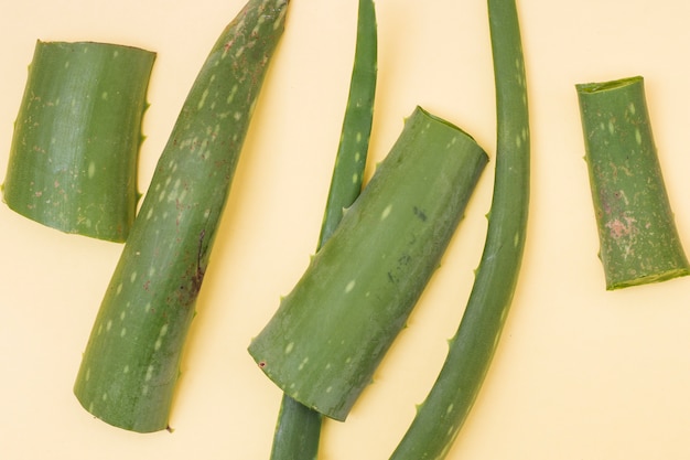 Una vista elevata delle foglie fresche di aloe vera su fondo beige