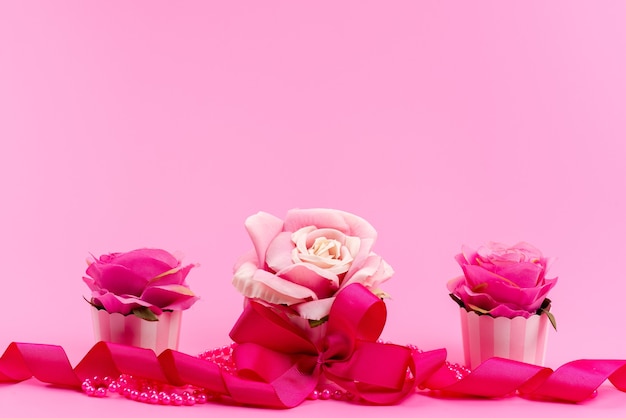 Una vista frontale rosa, fiori disegnati con eleganza su rosa, colore della pianta del fiore
