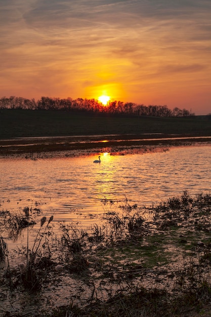Una vista ispiratrice della luce dell'alba