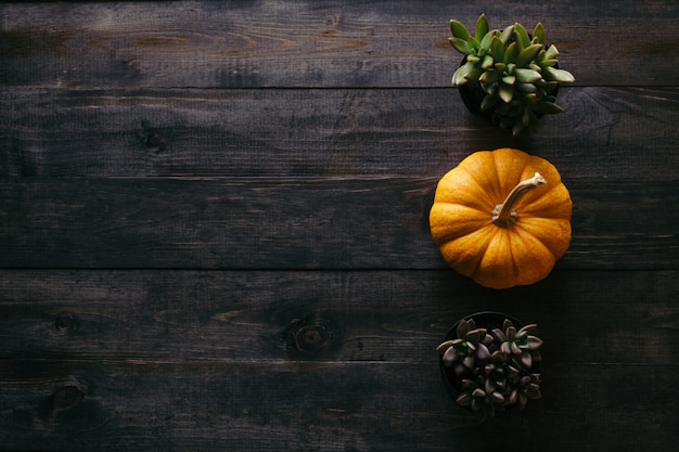 Una zucca gialla con erbe naturali su entrambi i lati con spazio per il testo