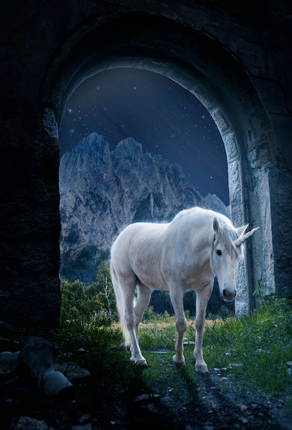 Unicorno all'aperto di notte