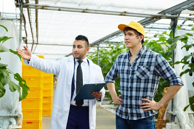 Uomini che lavorano in serra