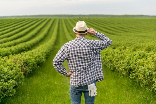 Uomo a terreni agricoli