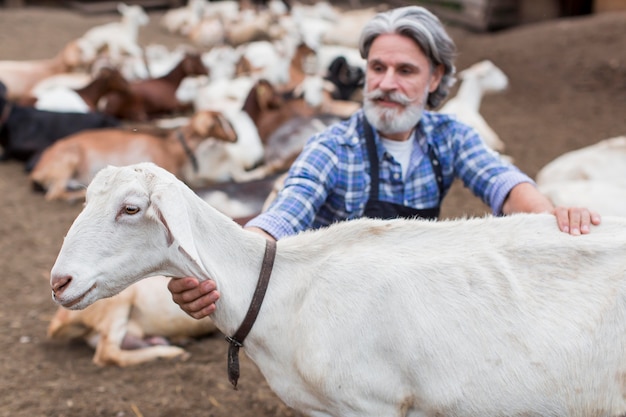 Uomo anziano alla fattoria