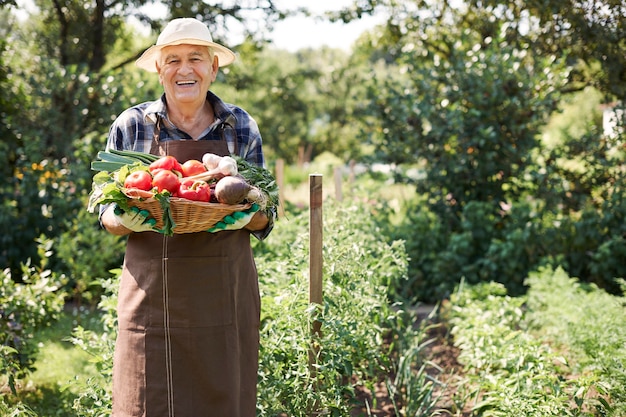 Uomo anziano che lavora nel campo con una cassa di verdure