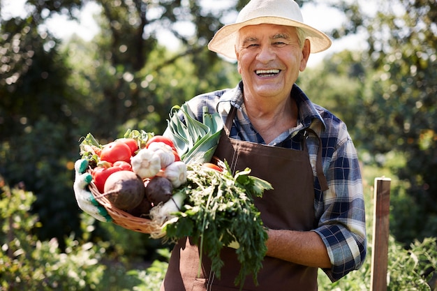 Uomo anziano che lavora nel campo con una cassa di verdure