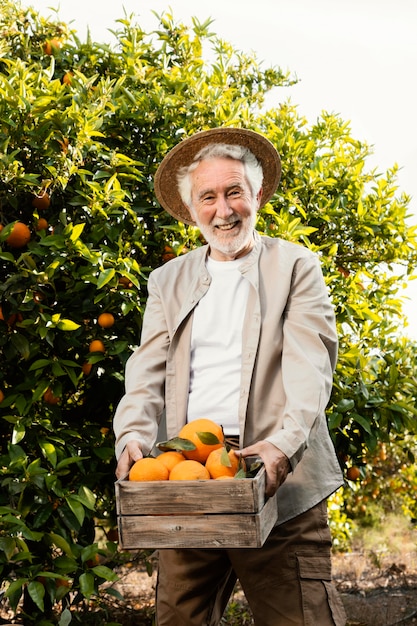 Uomo anziano nella piantagione di alberi di arancio