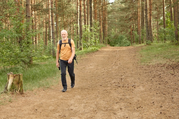 Uomo anziano solo che cammina nella pineta nella calda giornata autunnale. Integrale dell'escursionista maschio europeo anziano barbuto che indossa abiti da viaggio che trasportano zaino mentre si cammina con lo zaino nella foresta di montagna da solo