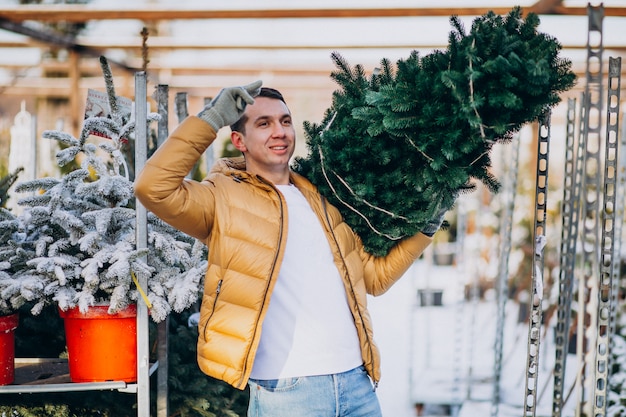 Uomo bello che sceglie un albero di Natale in una serra