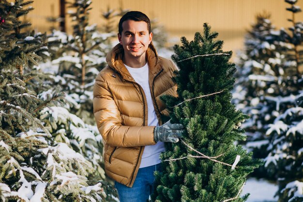 Uomo bello che sceglie un albero di Natale in una serra