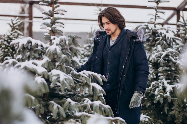 Uomo bello che sceglie un albero di Natale