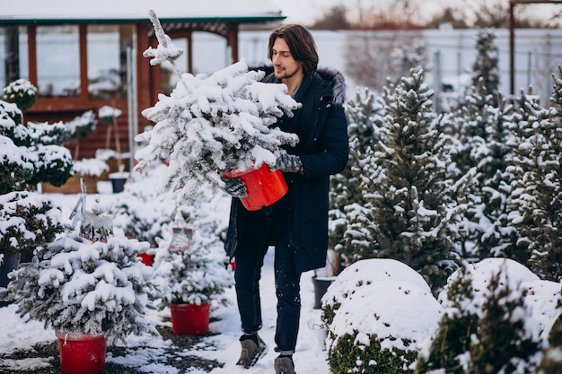 Uomo bello che sceglie un albero di Natale