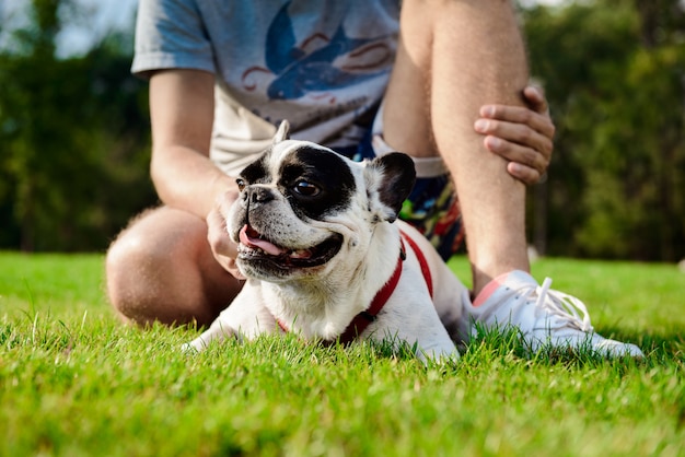 Uomo bello che si siede con il bulldog francese sull'erba in parco