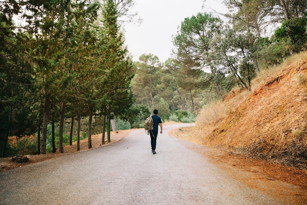 Uomo, camminare, strada, foresta