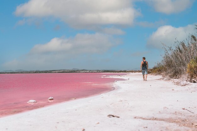 Uomo che cammina lungo la spiaggia vicino al mare rosa