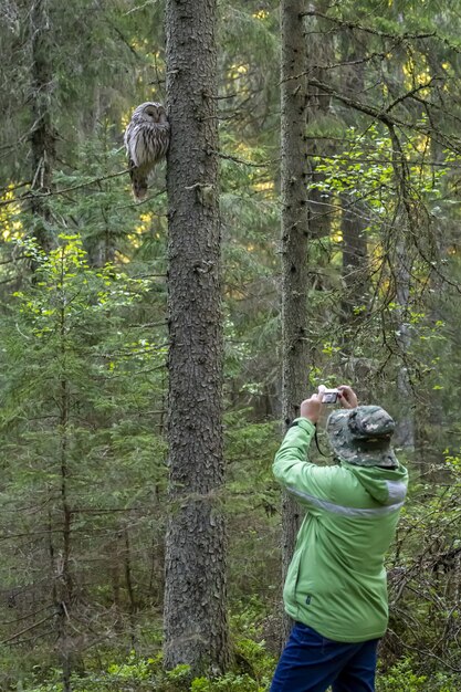 Uomo che cattura maschera del gufo che si siede nella struttura ad albero