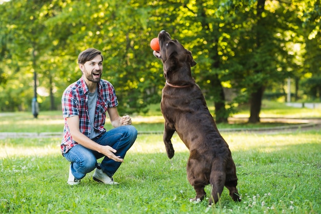 Uomo che guarda il suo cane che tiene palla in bocca