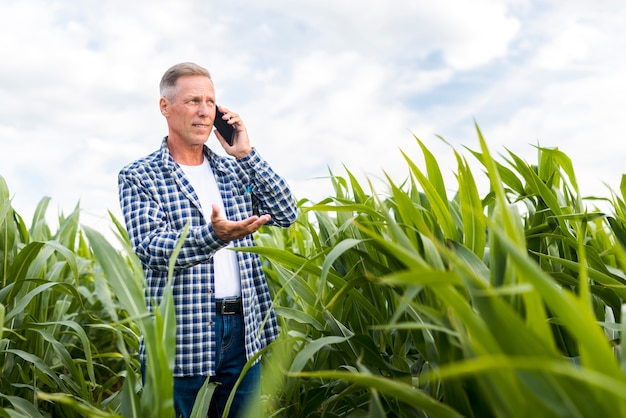 Uomo che parla al telefono in un campo di mais