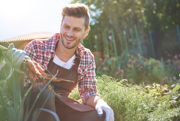 Uomo che prende la carota organica direttamente dal campo