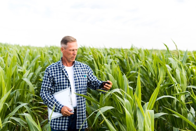 Uomo che prende un selfie in un campo di mais