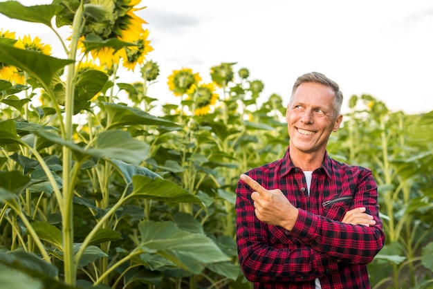 Uomo che punta a un girasole