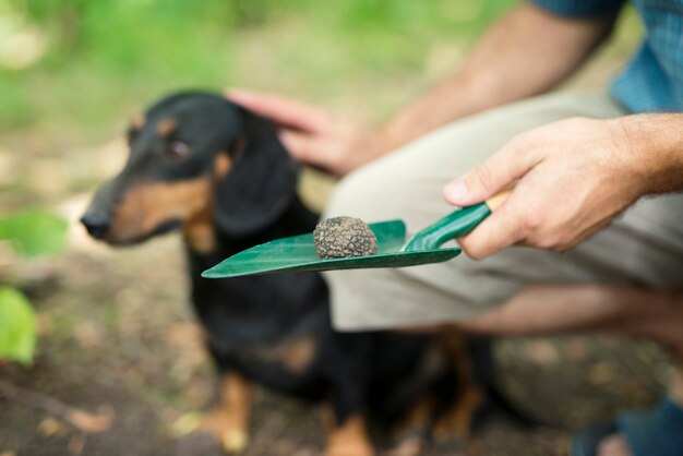 Uomo che ringrazia il suo cane addestrato per averlo aiutato a trovare funghi al tartufo nella foresta