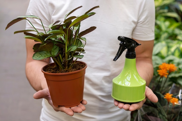 Uomo che tiene la pianta della casa e la bottiglia spray