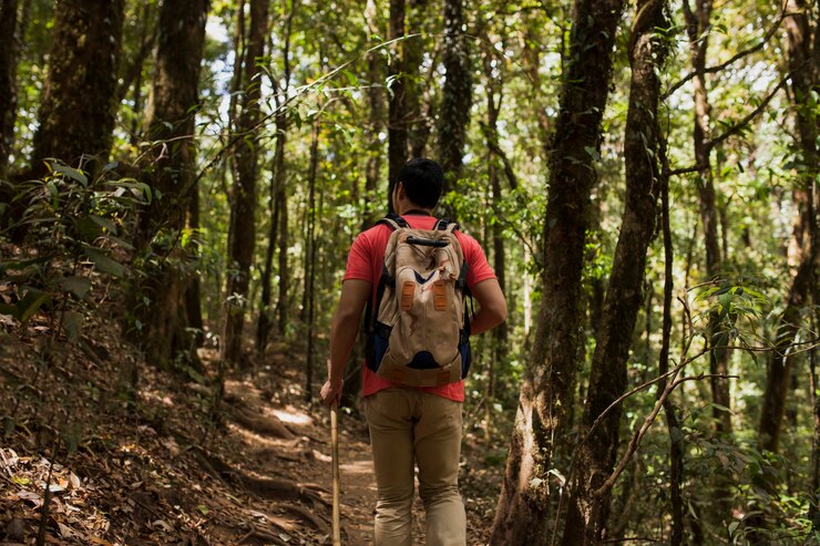 Foto gratuito uomo con zaino nella foresta