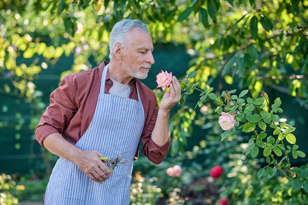 Uomo dai capelli grigi che lavora in un giardino e sembra concentrato