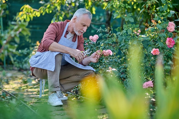 Uomo dai capelli grigi che lavora in un giardino e sembra concentrato