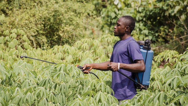 Uomo di campagna che disinfetta il campo