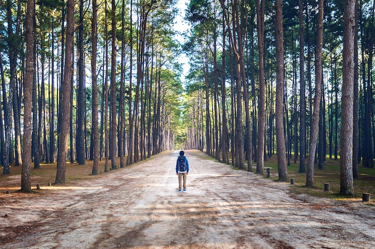 Foto gratuito uomo di escursionismo con lo zaino che cammina nella foresta.